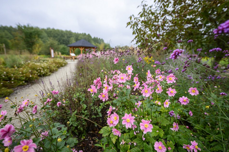 Odkryj nowy plac zabaw na Złotnie w Łodzi. Powstał w stylu naturalnych bawialni