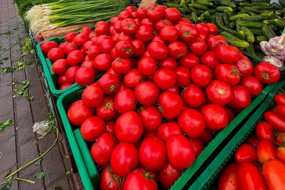 Pomidory różne rodzaje na Górniaku