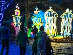 Trasa Parku Miliona Świateł przy Orientarium Zoo Łódź