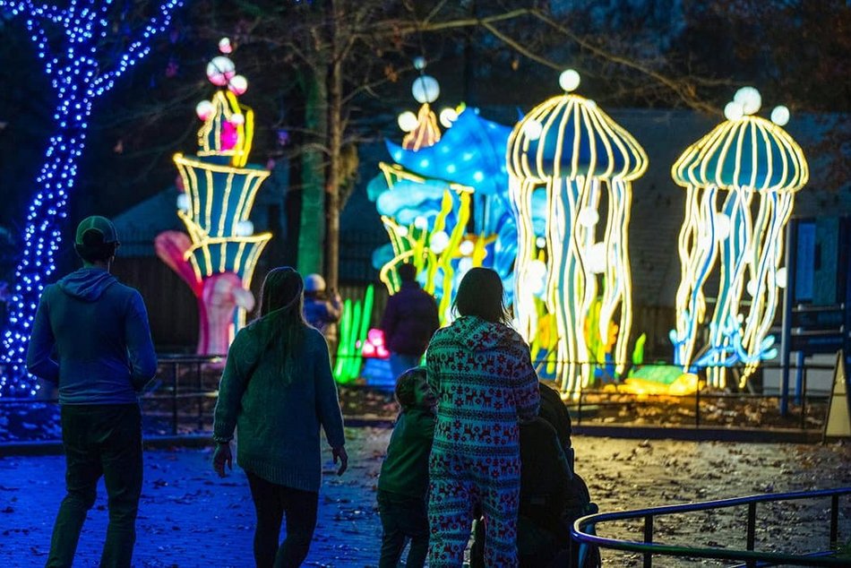 Trasa Parku Miliona Świateł przy Orientarium Zoo Łódź