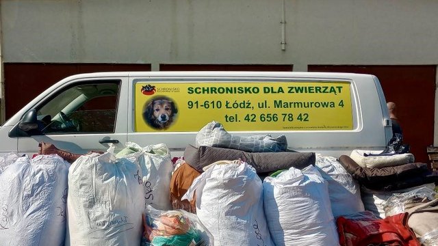 Schronisko w Łodzi pomaga w walce z powodzią. Zbiórka karmy i darów dla zwierząt z południa Polski