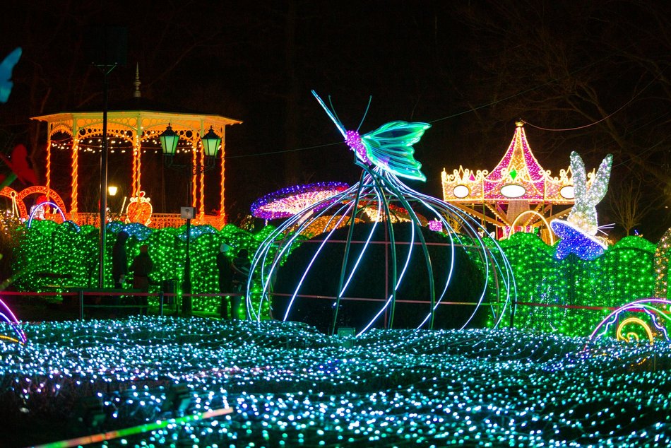 park miliona swiatel, alpaki