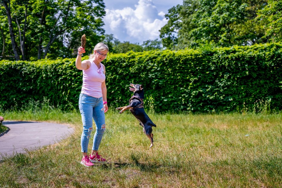 Jamnikówka w parku Poniatowskiego