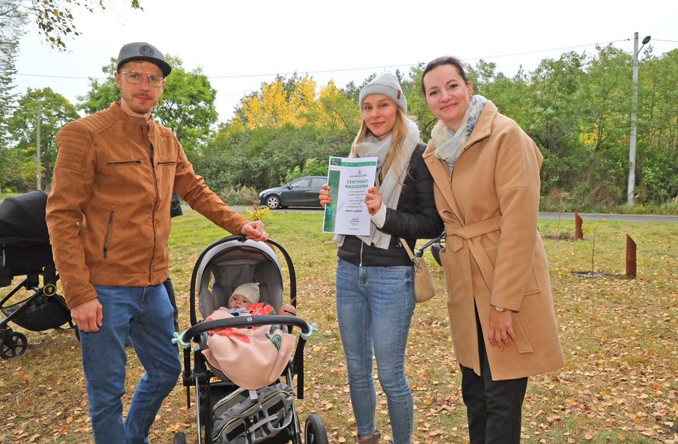 Rozrasta się Las Młodej Łodzi. Sadzenie drzew