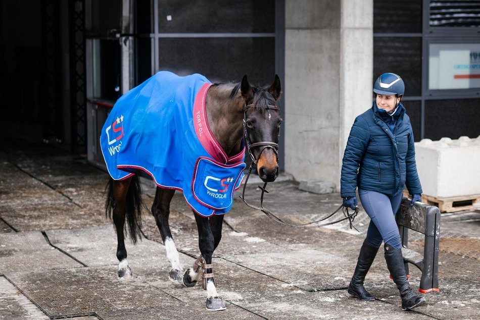 Łódź. Cavaliada Tour w Atlas Arenie