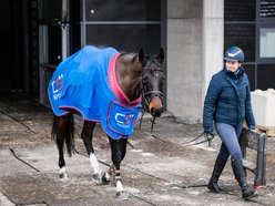 Łódź. Cavaliada Tour w Atlas Arenie
