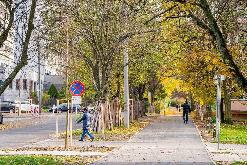 Łódź. Nowe drzewa przy Ciołkowskiego w Łodzi. Oczyszczą powietrze i upiększą okolicę