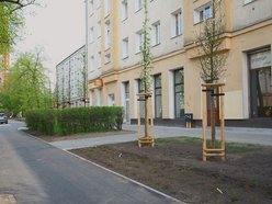 Łódź. Zielona rewolucja na Lutomierskiej w Łodzi. Posadzili ponad 20 nowych drzew!