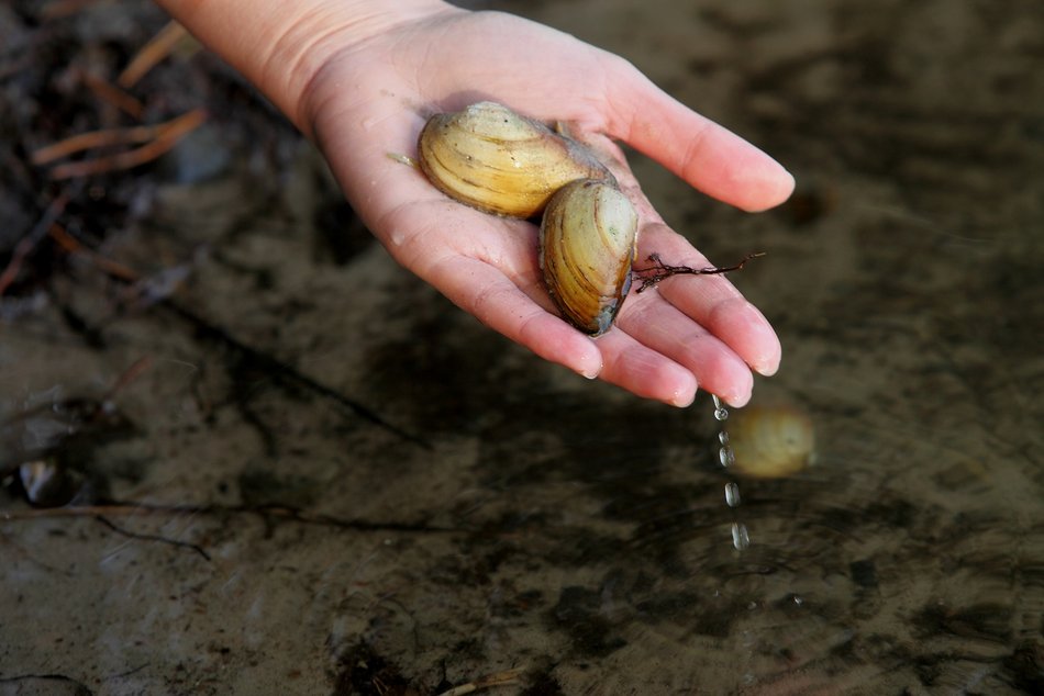 Łódź. Aż 56 nowych pracowników w ZWiK Łódź. Czym się zajmują tajemniczy bohaterowie?