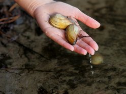 Łódź. Aż 56 nowych pracowników w ZWiK Łódź. Czym się zajmują tajemniczy bohaterowie?