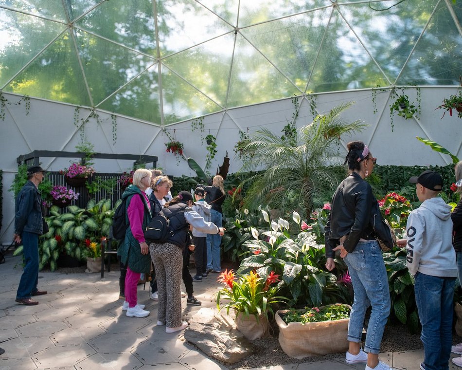 Łódź. Motylarnia w Orientarium Zoo Łódź już otwarta! Zobacz najpiękniejsze motyle świata