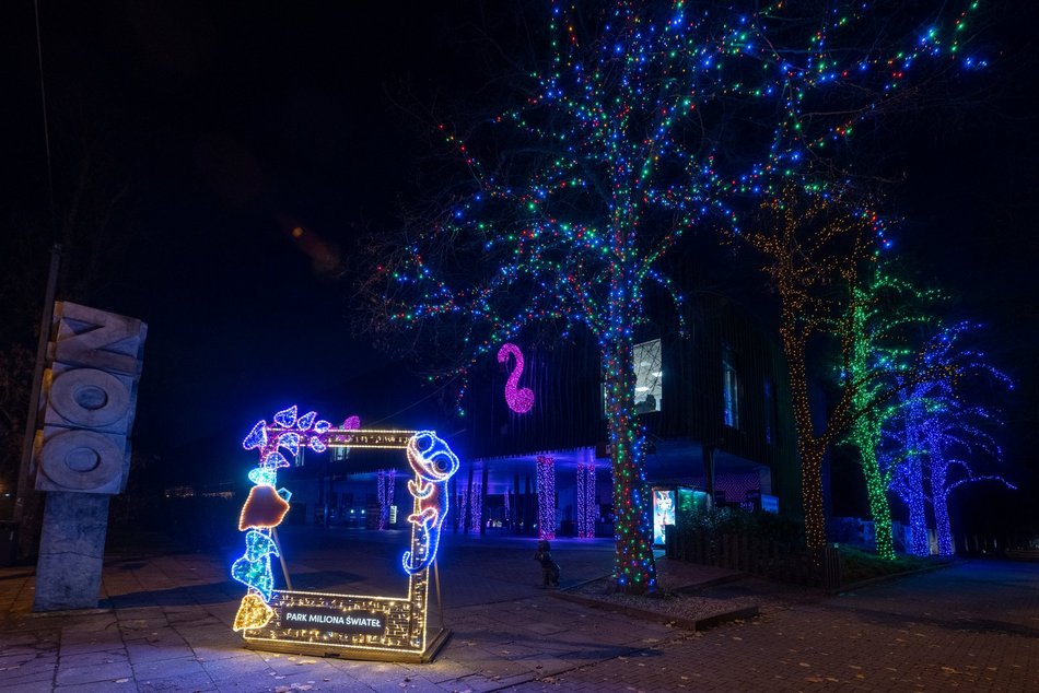 Park Miliona Świateł w Łodzi otwarty! Magiczne zwierzęta opanowały Orientarium Zoo Łódź