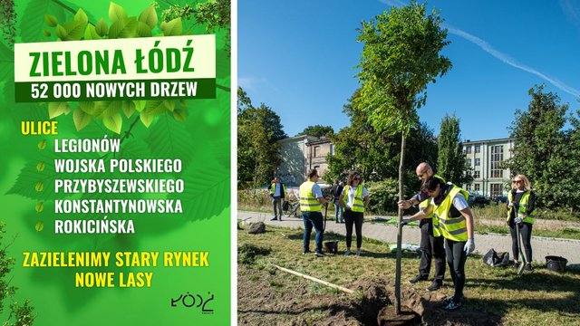 Łódź zielenieje. W 2024 r. przybędzie aż 52 tys. nowych drzew! [SZCZEGÓŁY]