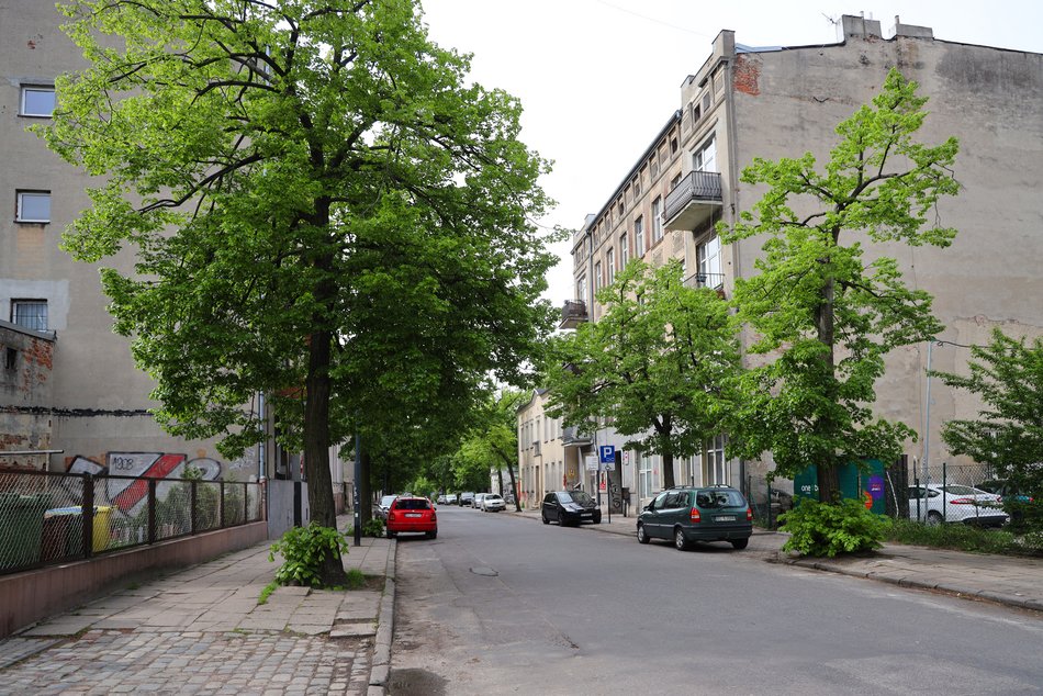 Ulica Lipowa w Łodzi