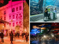 Łódź. Pasaż Rubinsteina, Orientarium Zoo Łódź, Aquapark Fala