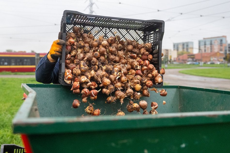 Łódź. Miasto rozkwitnie dzięki Budżetowi Obywatelskiemu Łódź