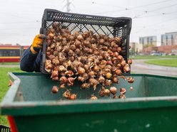 Łódź. Miasto rozkwitnie dzięki Budżetowi Obywatelskiemu Łódź