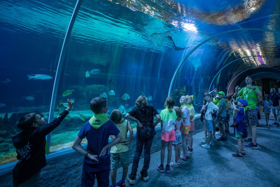 Orientarium Zoo Łódź, półkolonie dla dzieci