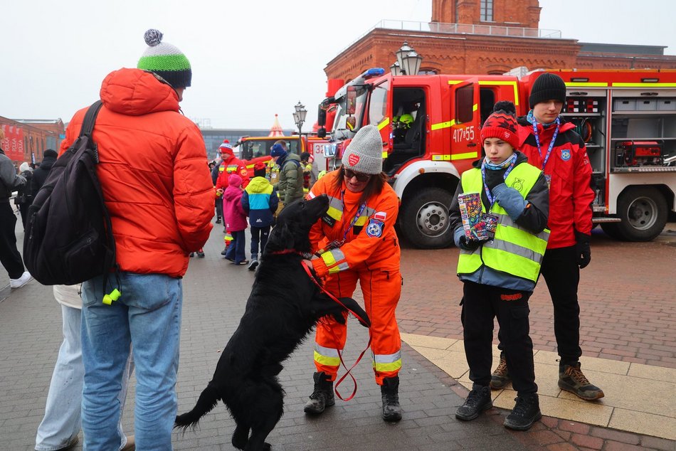 Łódź. Moc atrakcji w Manufakturze na WOŚP 2026 w Łodzi! Wikingowie, strażacy, pokazy i więcej