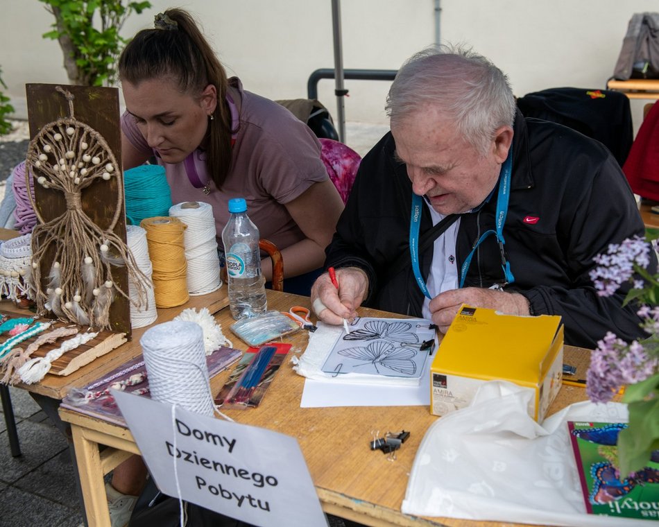 Majówka u Majewskiego