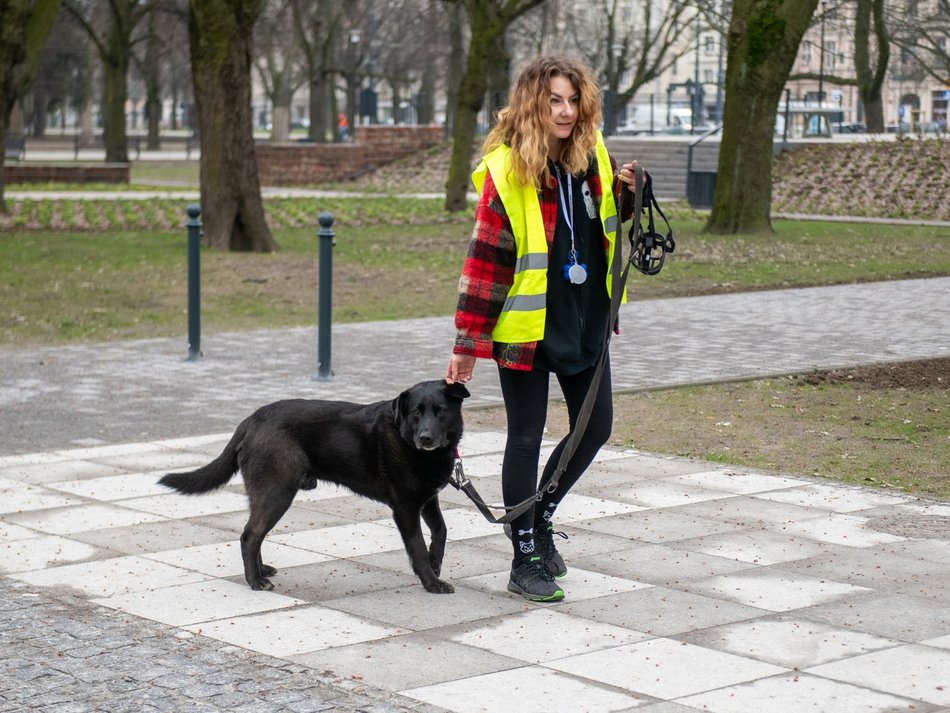 Schronisko w Łodzi z nowymi wolontariuszami