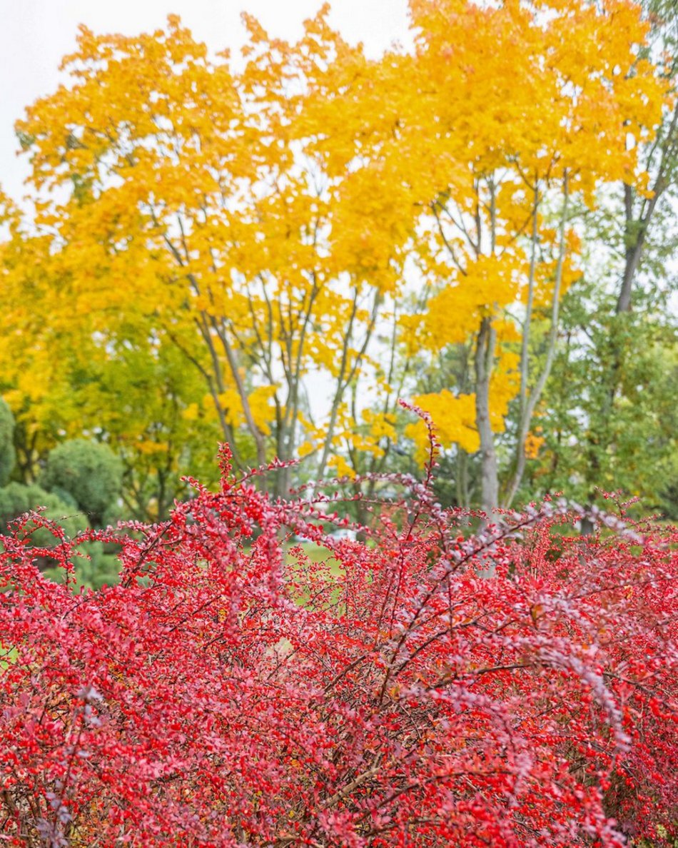 Łódź. Jesienne kadry z parków