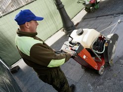 Nowe drzewa na Piotrkowskiej w Łodzi od placu Wolności