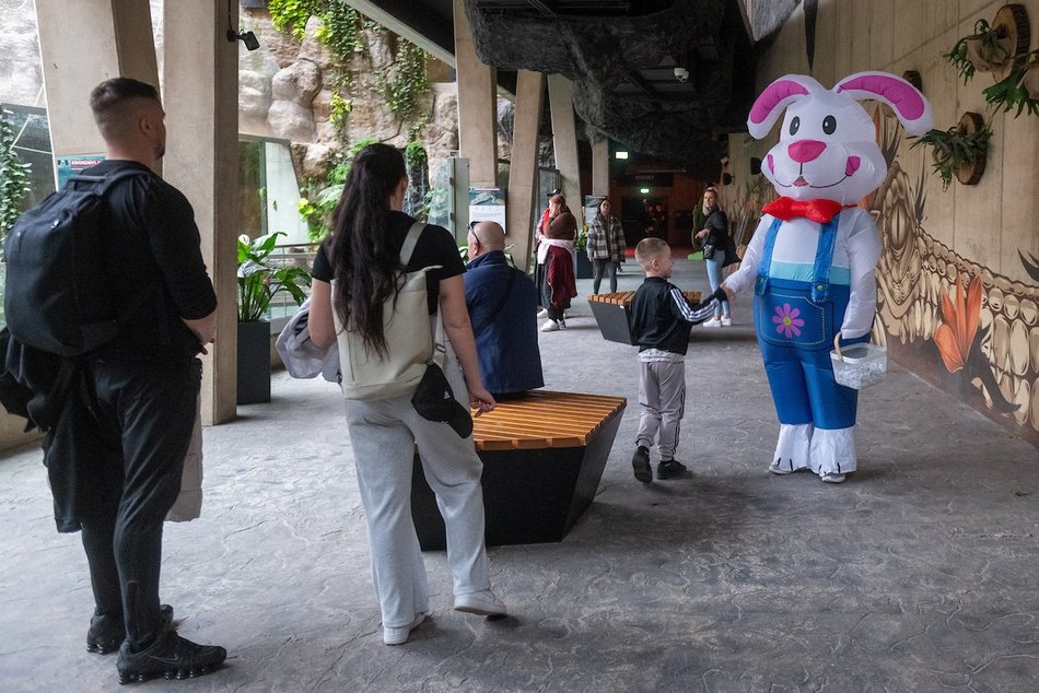 Łódź. Wielkanocny zając w Orientarium Zoo Łódź