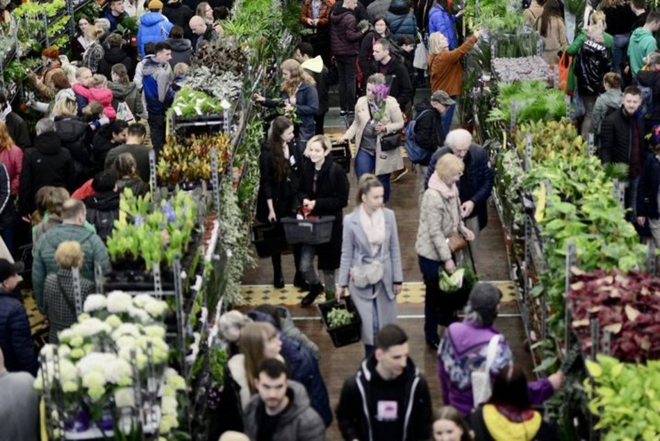 Festiwal Roślin w EC1 Łódź. Zobacz, jakie okazy możesz tu upolować. Jeszcze zdążysz!