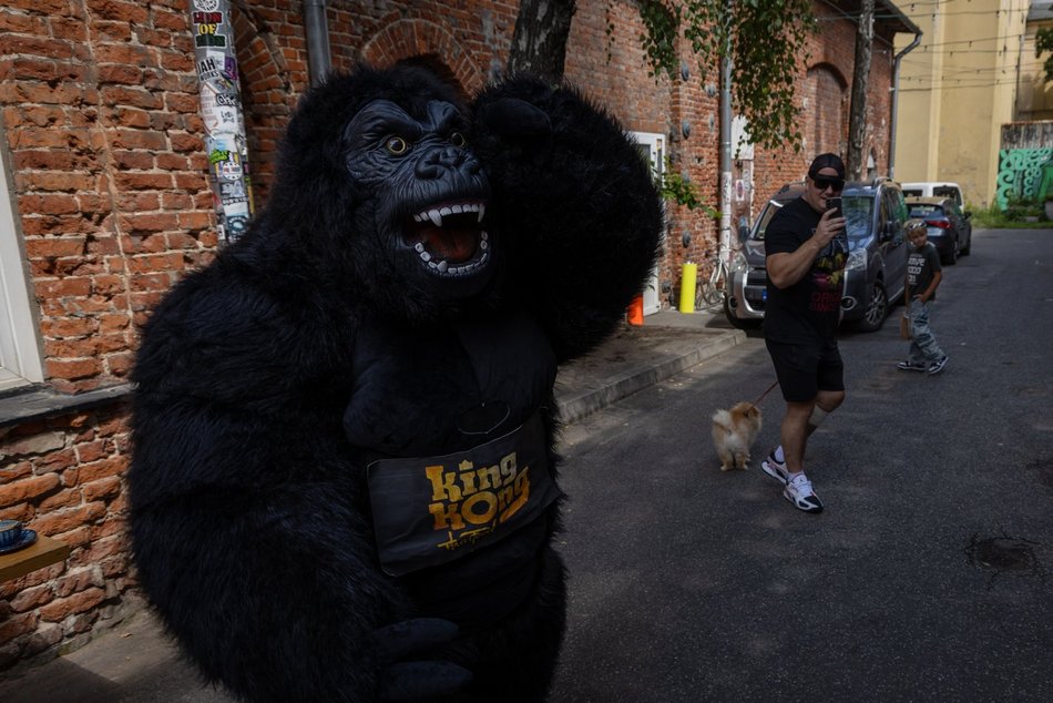 Łódź. Gastro dla schroniska w Łodzi. Tak się łączy miłość do jedzenia, muzyki i zwierząt!