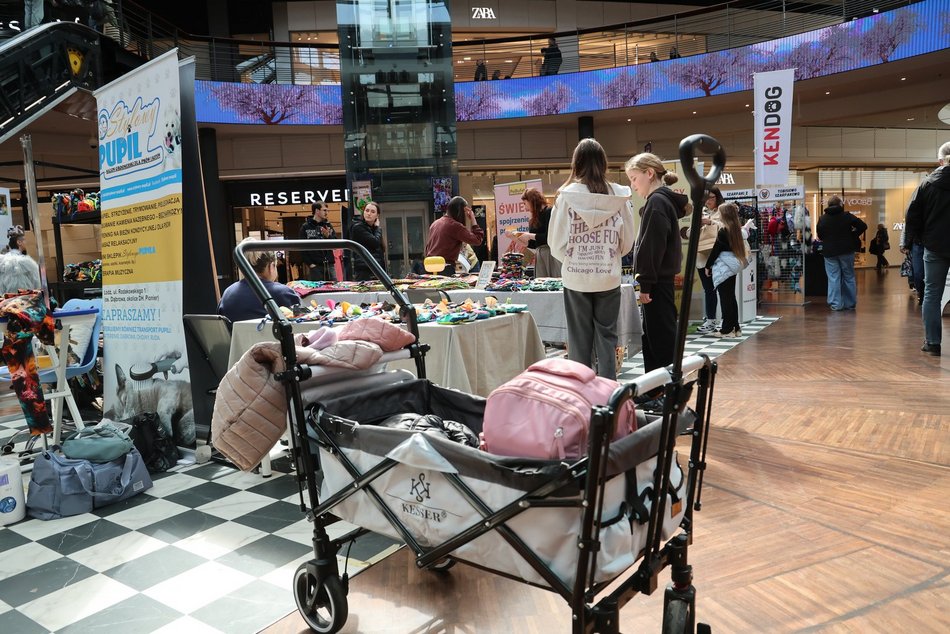 Łódź. Psi Targ w Manufakturze w Łodzi. Każdy miłośnik czworonogów znajdzie tu coś dla siebie