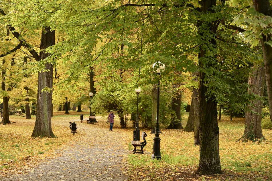 Łódź. Jesień w parku Źródliska w Łodzi. Nie wybrać się tam na spacer to grzech!