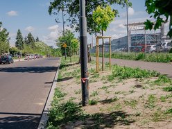 Łódź. Koniec remontu Szparagowej i Wersalskiej w Łodzi. Kiedy wielkie otwarcie ulic?