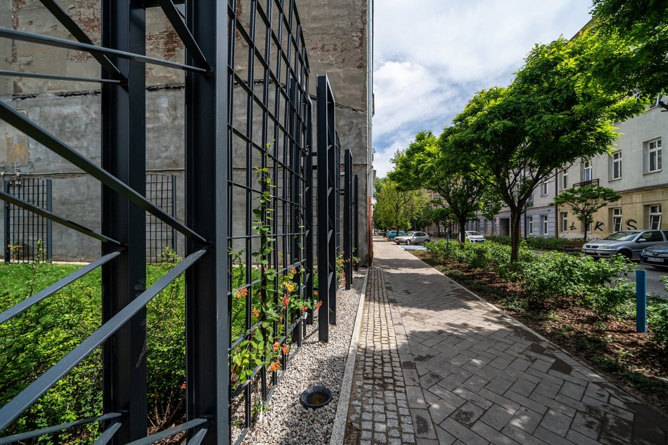 Woonerf i pasaże przy Mielczarskiego pełne zieleni