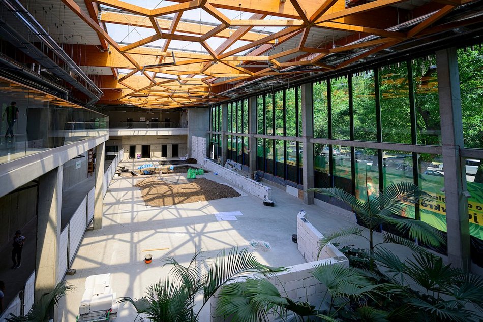 Łódź. Nowa atrakcja dla dzieci w Orientarium Zoo Łódź! Figloraj ze zjeżdżalniami, wieżą i tyrolką