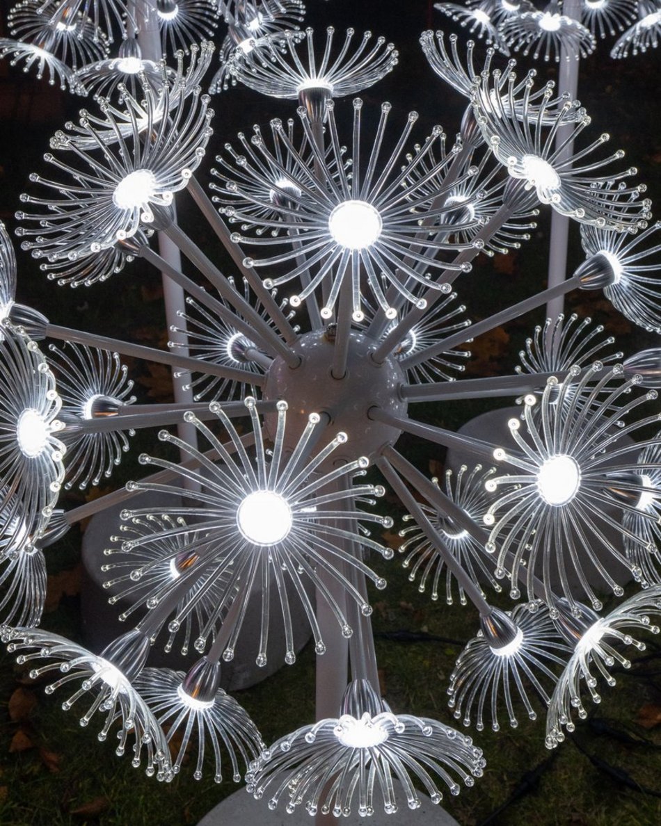 Park Miliona Świateł w Łodzi otwarty! Magiczne zwierzęta opanowały Orientarium Zoo Łódź