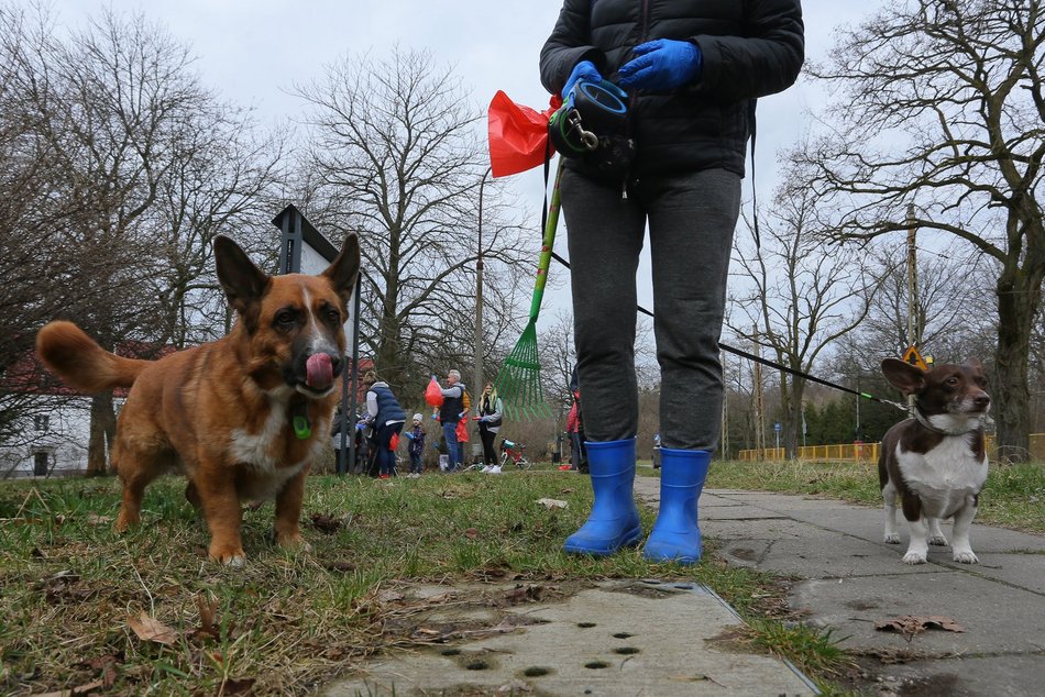 Galante Sprzątanie Łodzi