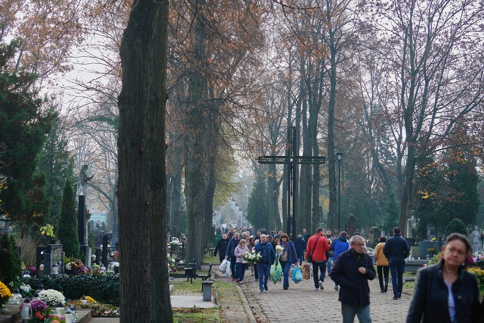 ludzie kwesta cmentarz