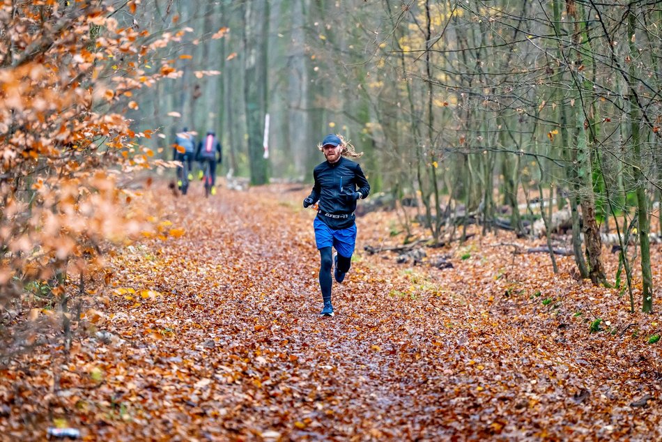 Cookie Run w Lesie Łagiewnickim w Łodzi