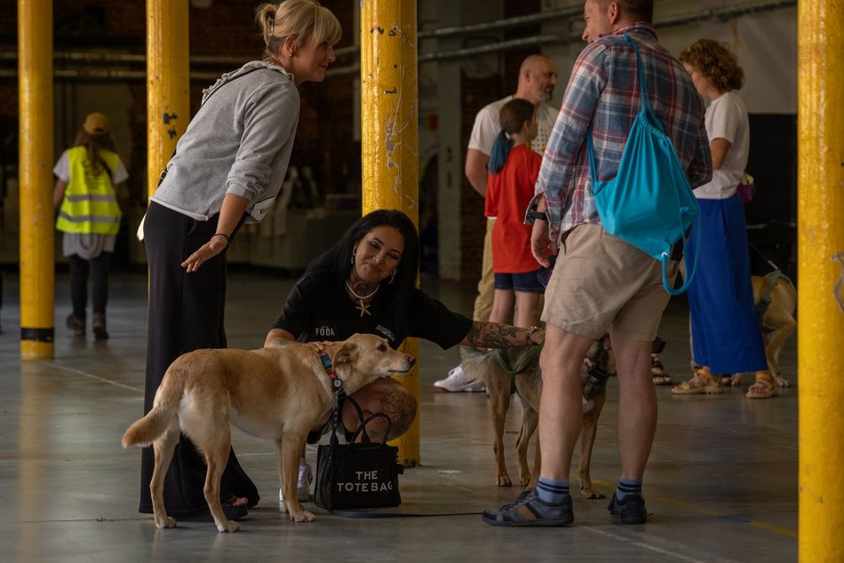 Łódź. Gastro dla schroniska w Łodzi. Tak się łączy miłość do jedzenia, muzyki i zwierząt!