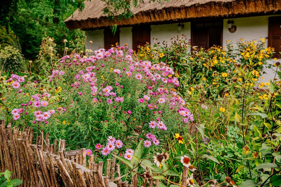 Łódź. Jesień w Ogrodzie Botanicznym w Łodzi. Tam z pewnością pokochasz tę porę roku!