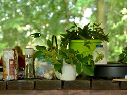 Łódź. Akademia Różnorodności w Ogrodzie Botanicznym w Łodzi. W planie warsztaty i relaksujący spacer