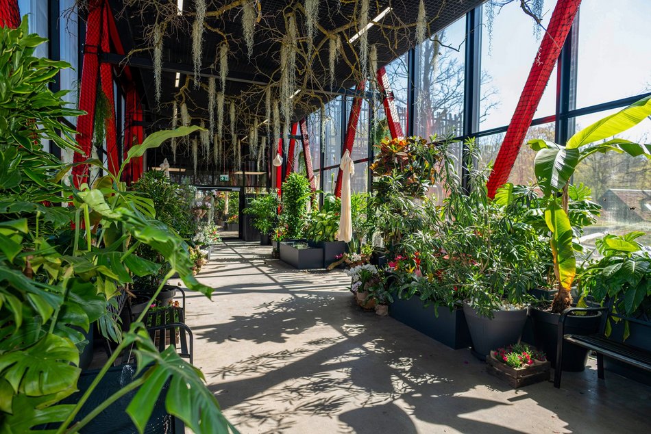 Łódź. Nowa motylarnia w Orientarium Zoo Łódź już otwarta! Największe takie miejsce w Polsce