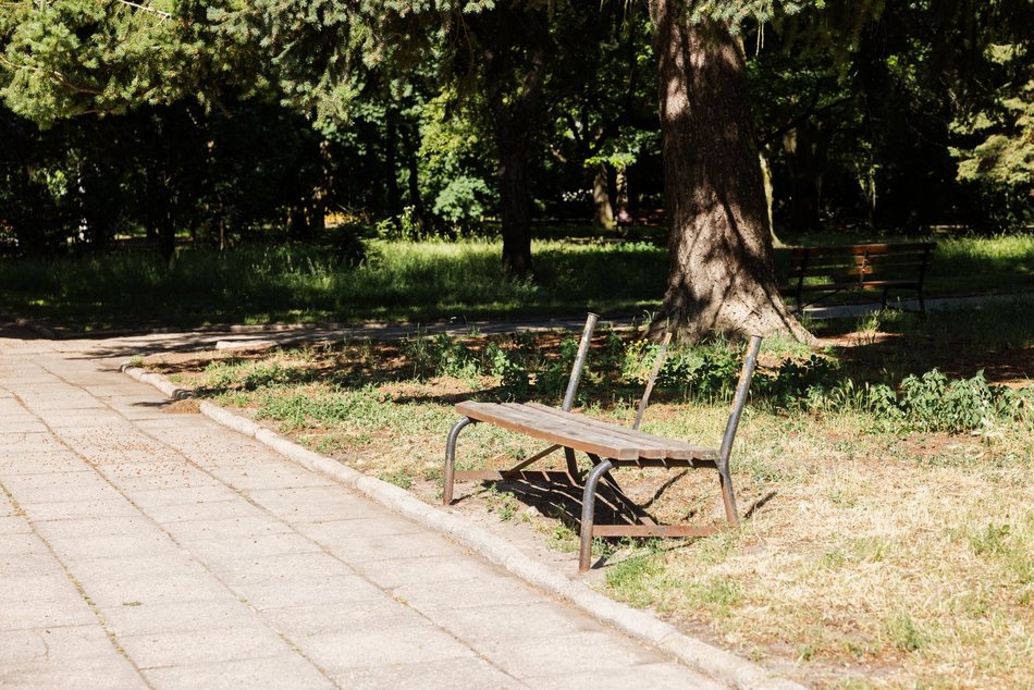Łódź. Prace pielęgnacyjne w parku przy Leczniczej w Łodzi. Będzie ładniej i wygodniej!