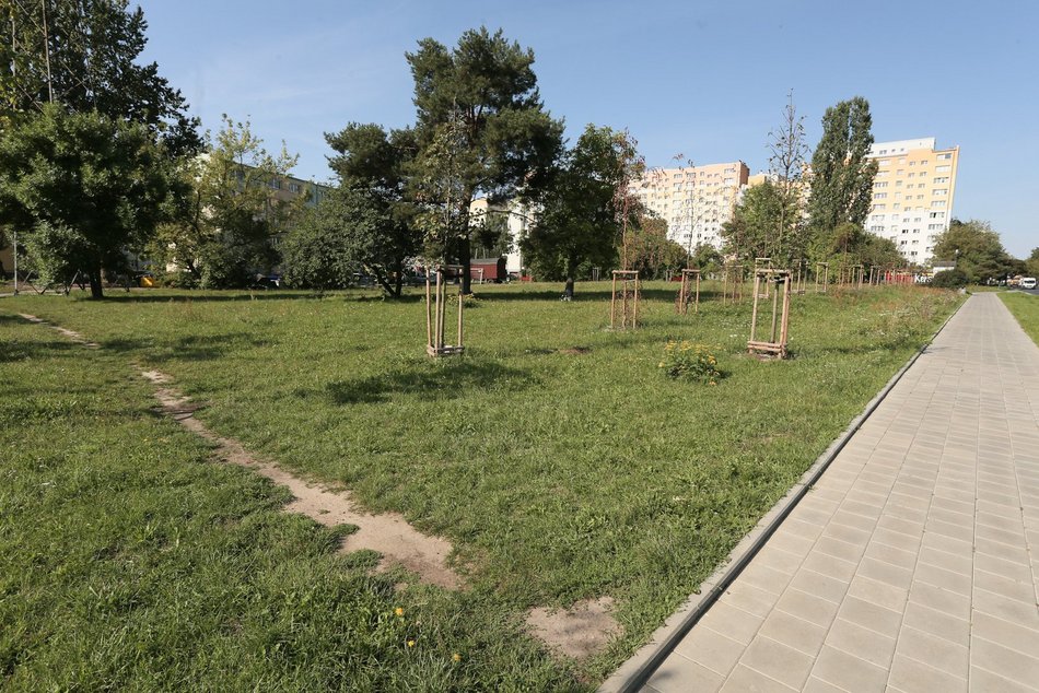 Plac w rejonie ulic Kusocińskiego, Bandurskiego i Króla