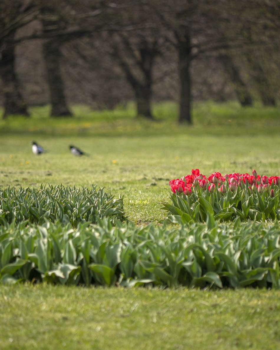 фото Stefan Brajter