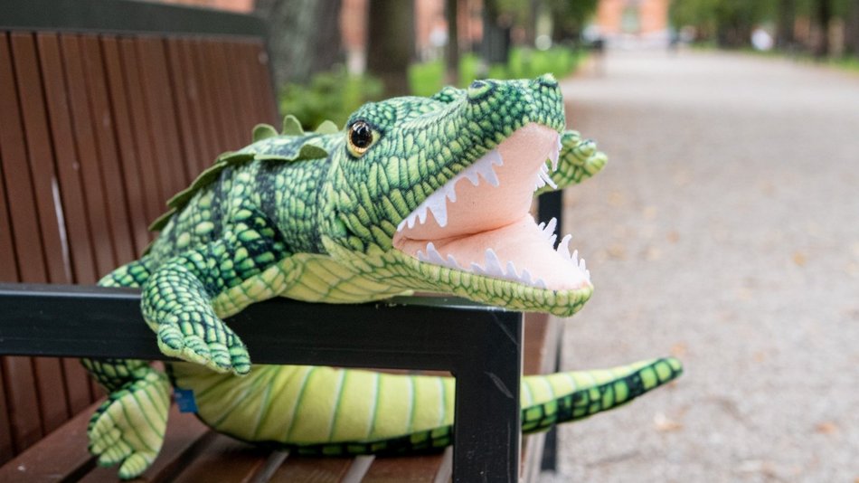 fot. Paweł Łacheta