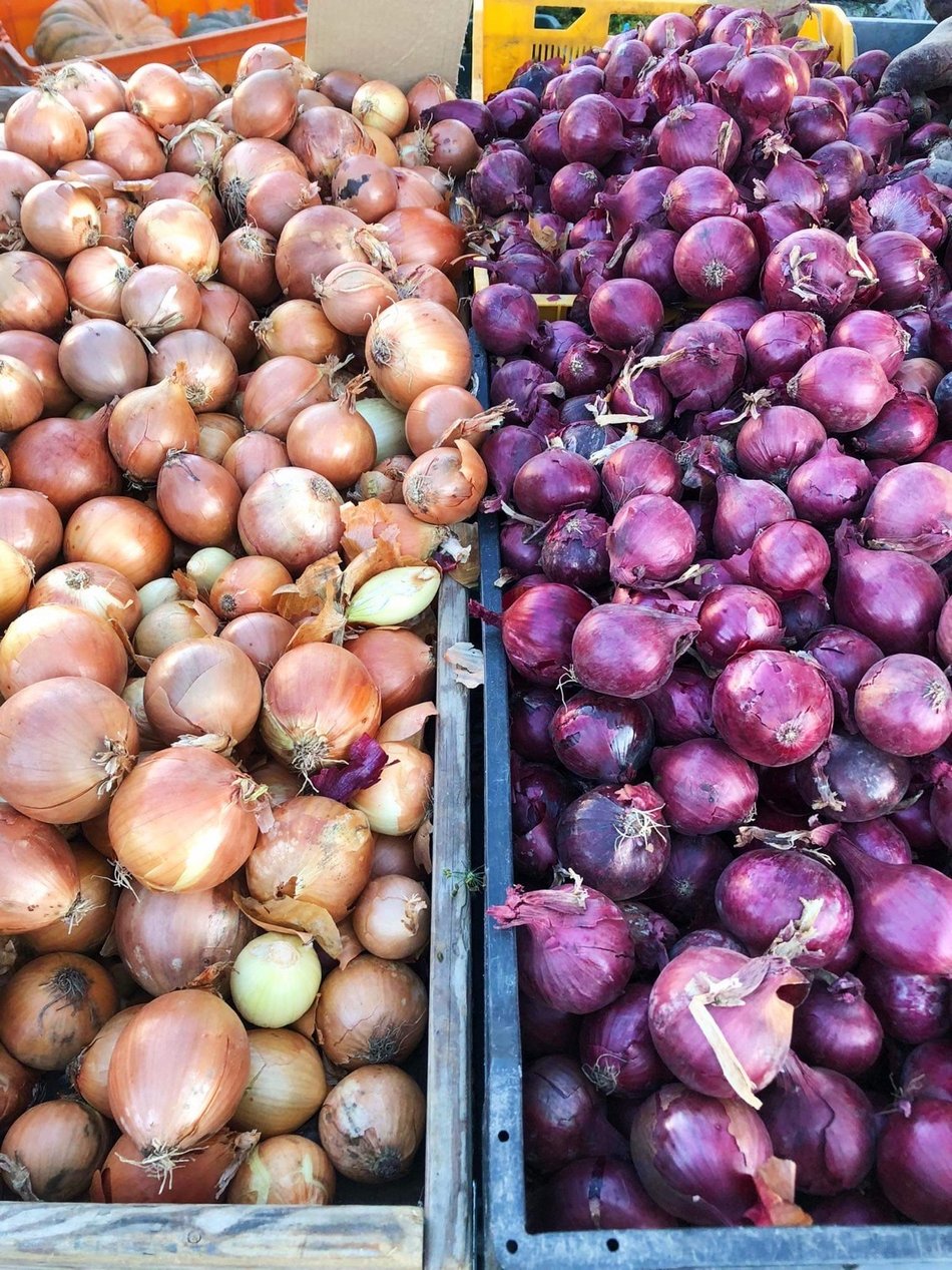 Rynek Bałucki Łódź - cebula