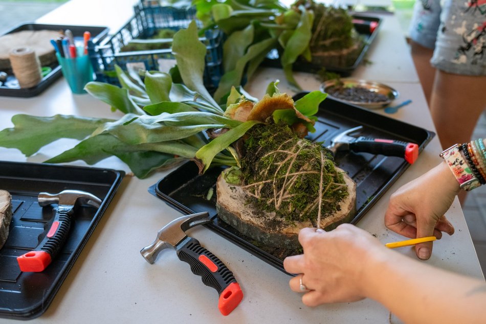 Łódź. Zielona Feta w Orientarium Zoo Łódź. Moc atrakcji na długi weekend