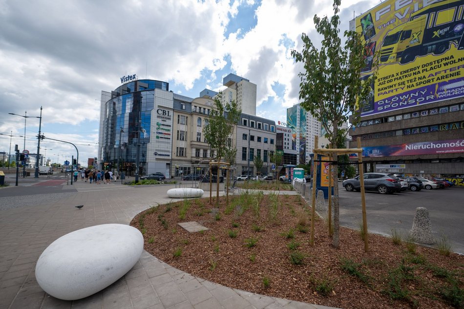 Przy Stajni Jednorożców w Łodzi robi się zielono! Widać już efekty odbetonowania